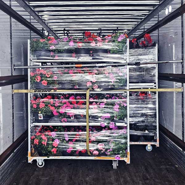 flowerload