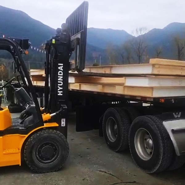 lifter-loader